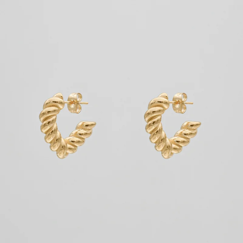 Best hoop earrings with gold-plated finishes for an affordable luxury vibe-Cara Twisted Earrings